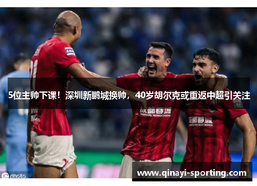 5位主帅下课！深圳新鹏城换帅，40岁胡尔克或重返中超引关注